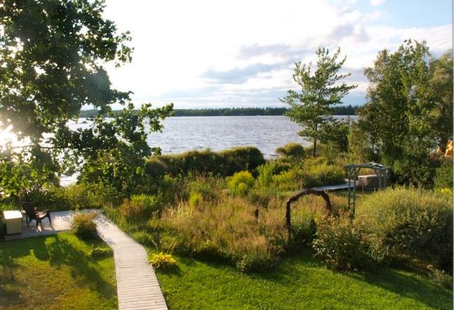 Végétalisez vos berges à petit prix!