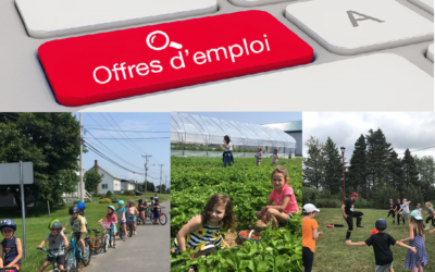Accompagnateur (trice) de camp de jour recherché (e)