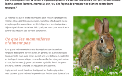 Fleurons du Québec: Protéger ses aménagements contre les cervidés et les rongeurs