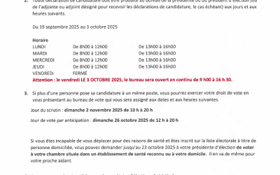 Avis public d’élection
