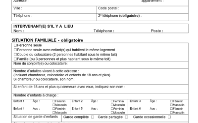 Formulaire de demande de panier de Noël